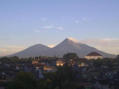 oasis studio hotel satu