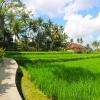 toya villa ubud