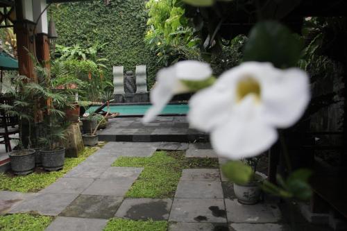 yogyakarta