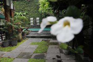 yogyakarta