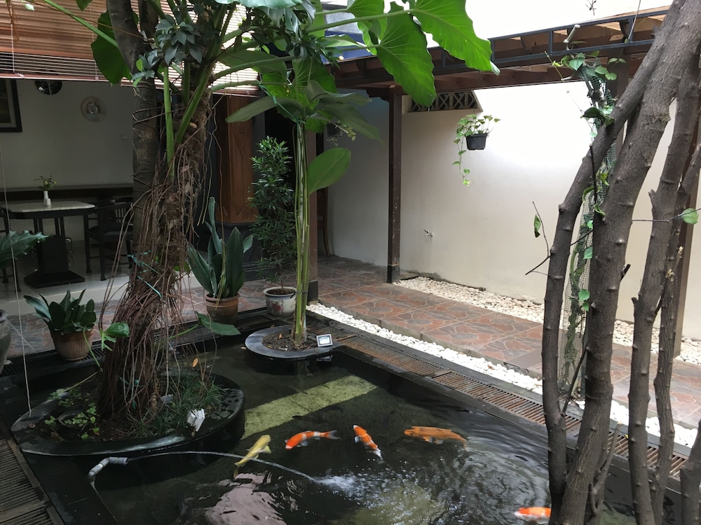 griya yunika homestay