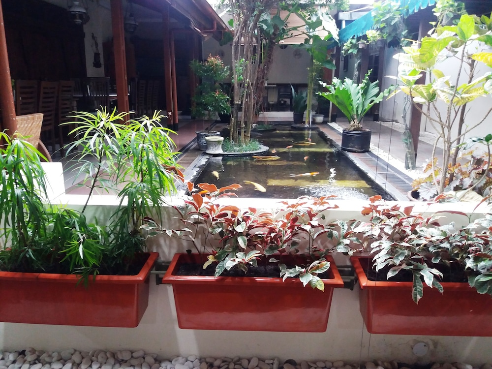 griya yunika homestay