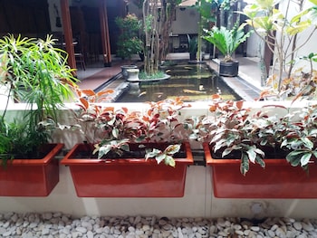 griya yunika homestay