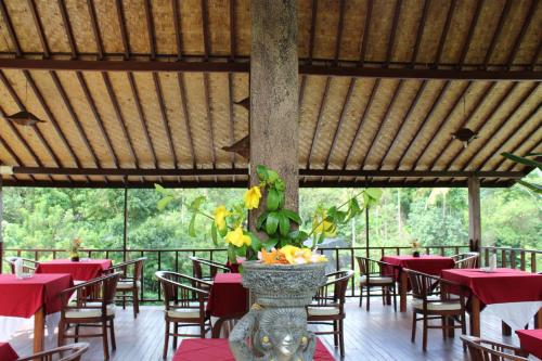 tepi sungai guest house
