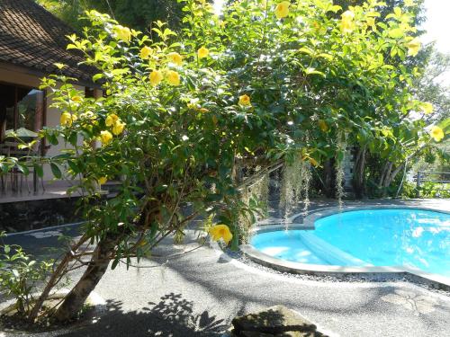 tepi sungai guest house