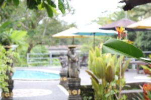 tepi sungai guest house