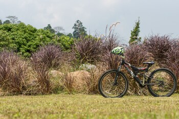the natural garden khao soi dao
