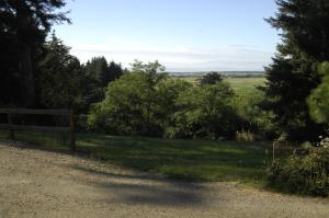 ferndale