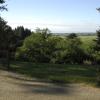 ferndale