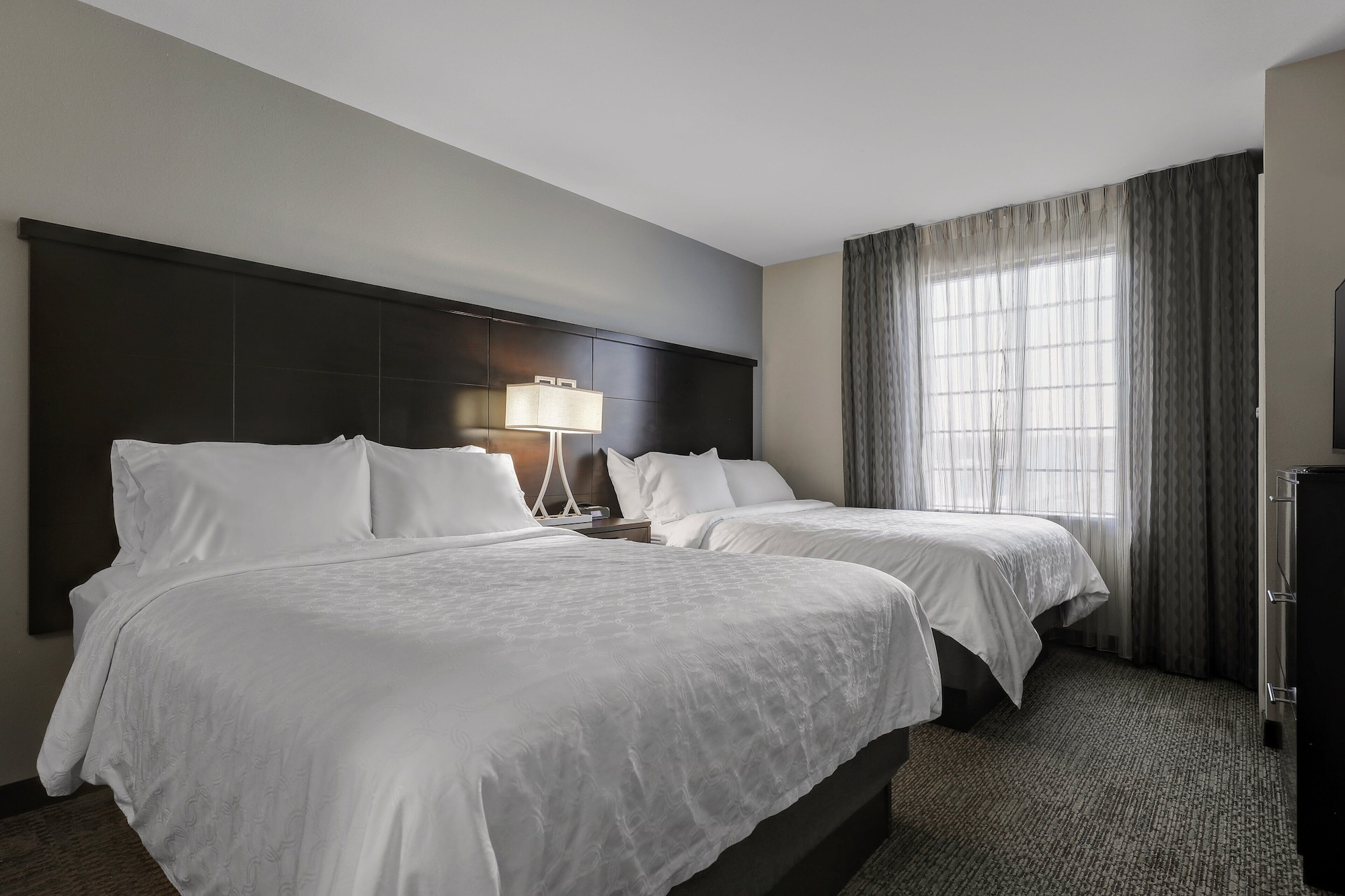 staybridge suites washington d c greenbelt by ihg