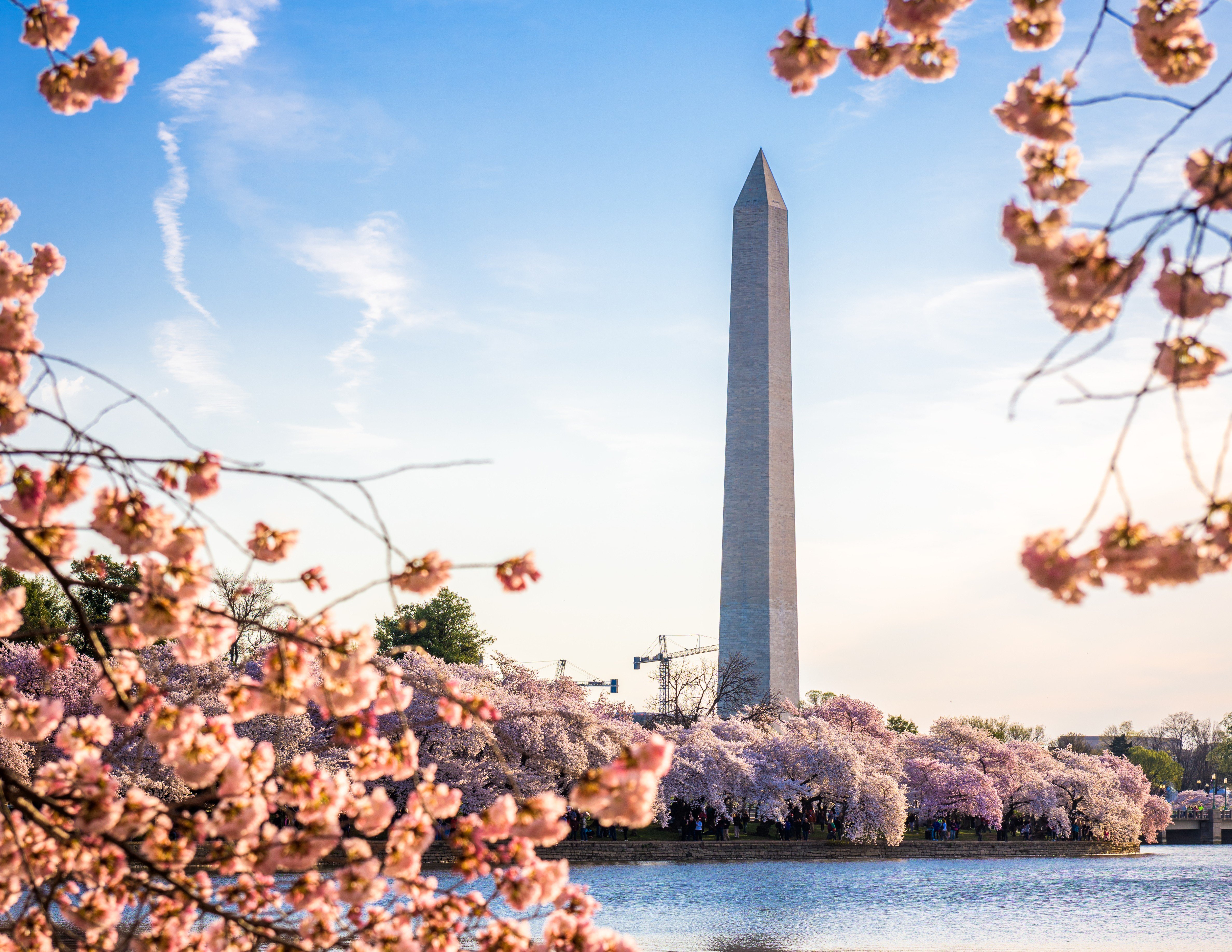 staybridge suites washington d c greenbelt by ihg