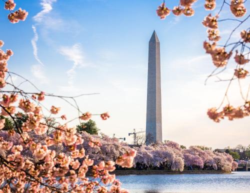 staybridge suites washington d c greenbelt by ihg