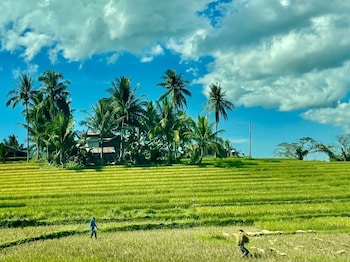 Casa Amihan,,3 star