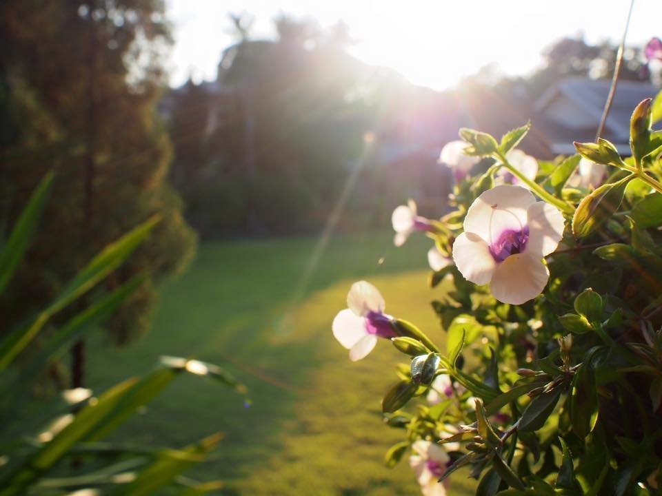 Doi Inthanon View Resort,Chiang Mai>>Ban Luang,2 star