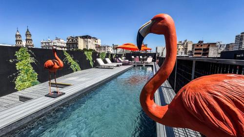 anselmo buenos aires curio collection by hilton