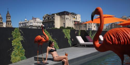 anselmo buenos aires curio collection by hilton