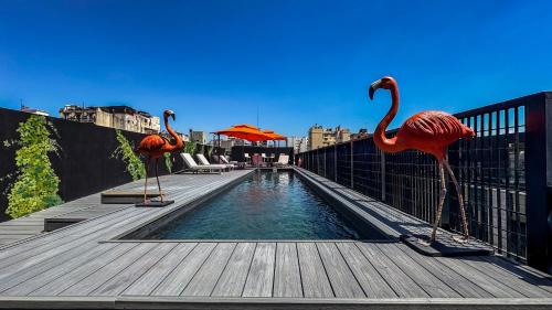 anselmo buenos aires curio collection by hilton