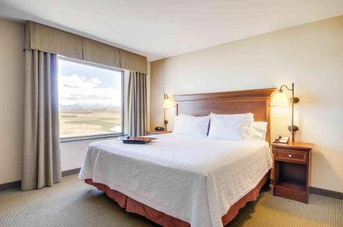 hampton inn and suites pinedale