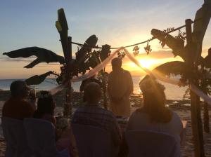 ravenala beach bungalows