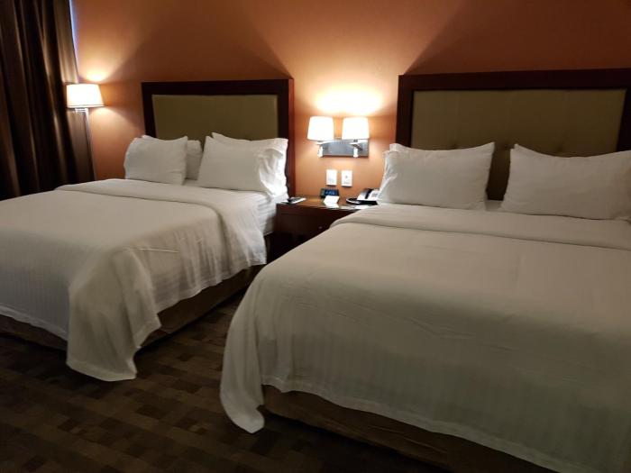 holiday inn leon plaza mayor by ihg
