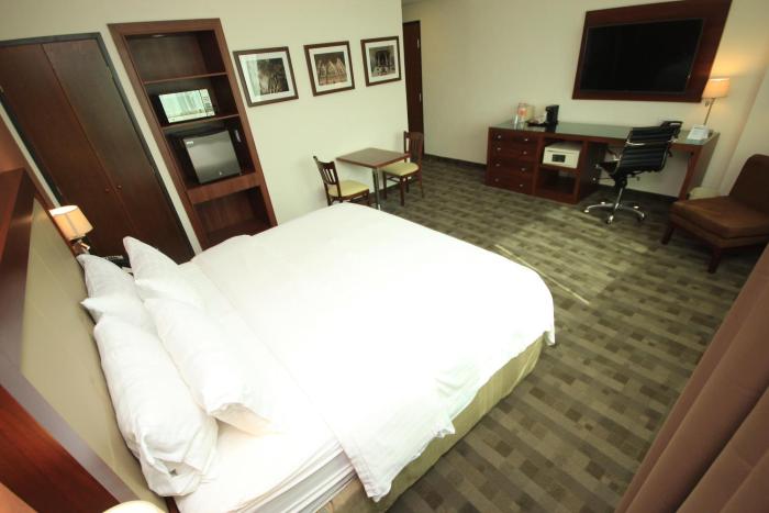 holiday inn leon plaza mayor by ihg