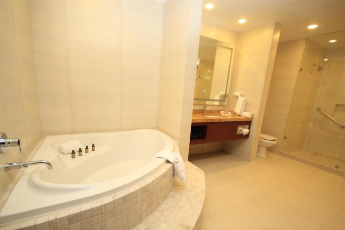 holiday inn leon plaza mayor by ihg