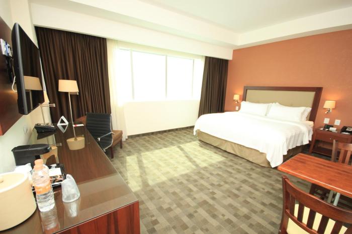 holiday inn leon plaza mayor by ihg
