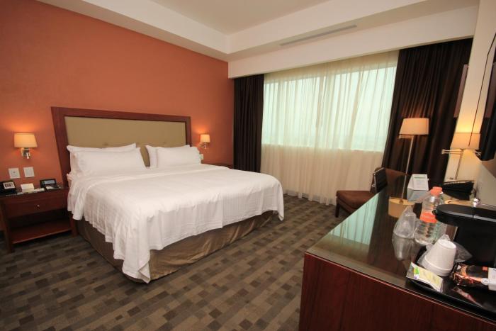 holiday inn leon plaza mayor by ihg
