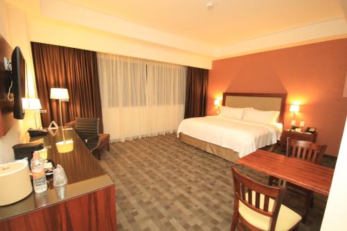 holiday inn leon plaza mayor by ihg