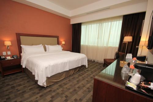 holiday inn leon plaza mayor by ihg