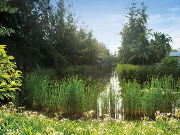 sanctuary resort community