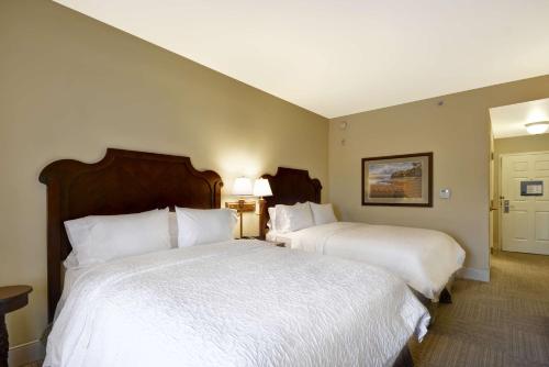 savannah