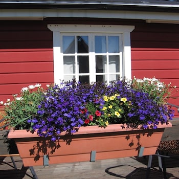 lappeasuando lodge