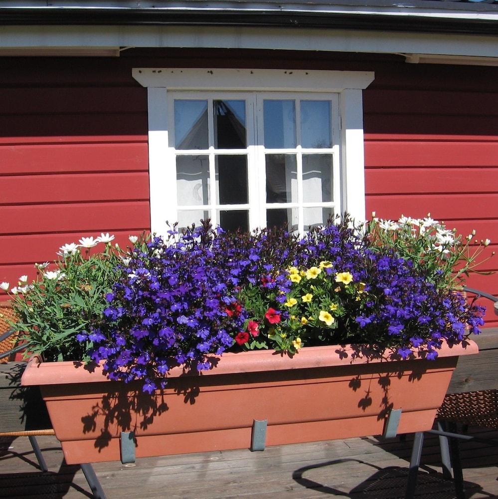 lappeasuando lodge