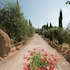 tenuta decimo