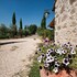 tenuta decimo