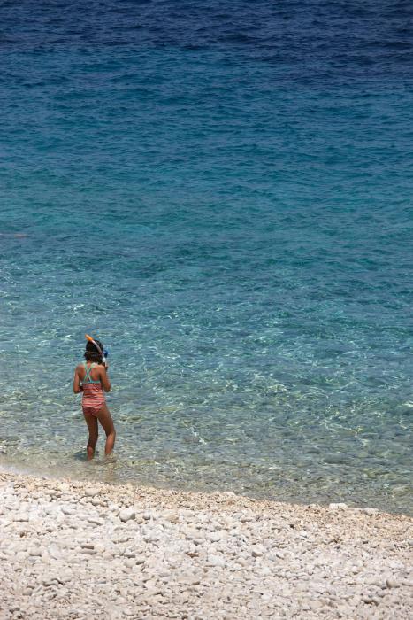 paxos