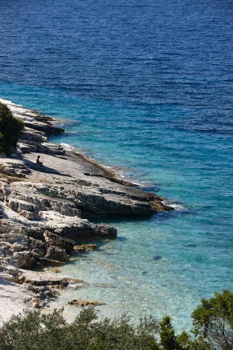 paxos