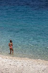 paxos