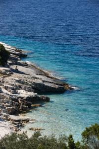 paxos