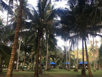 koh kood neverland beach resort