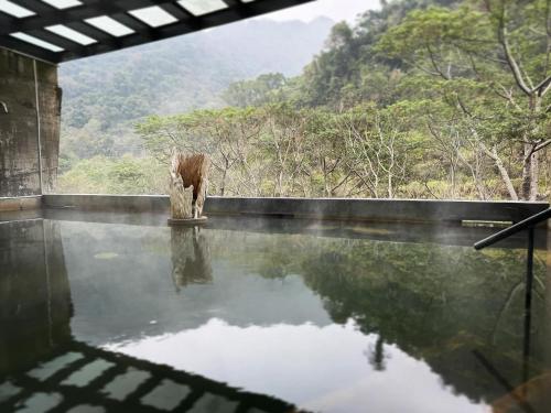 onsen papawaqa