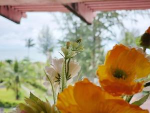 lanta mermaid boutique house