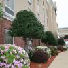 hampton inn shreveport airport