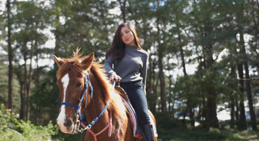 Baguio Holiday Villas,Cordillera Administrative Region>>Baguio,3 star