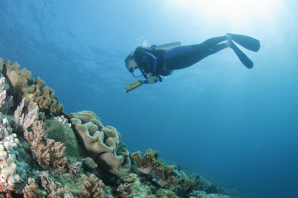 divegurus boracay beach resort