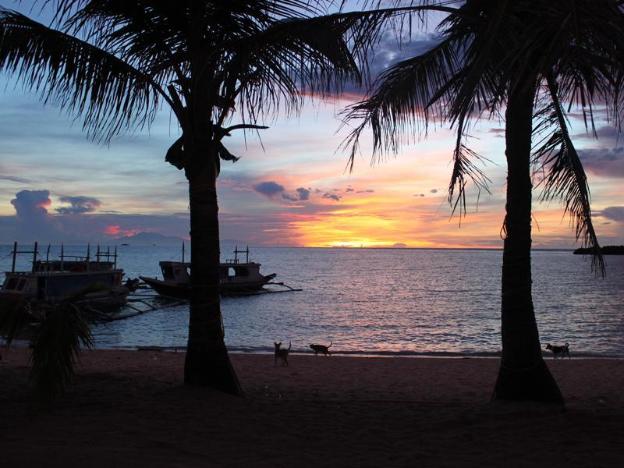 feliness resort boracay