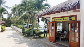 quo vadis dive resort moalboal