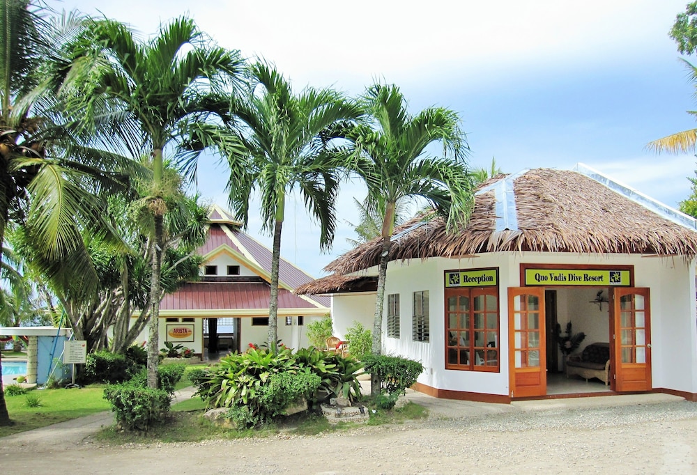 quo vadis dive resort moalboal
