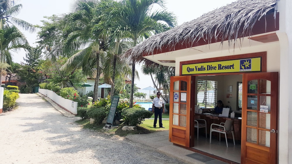 quo vadis dive resort moalboal